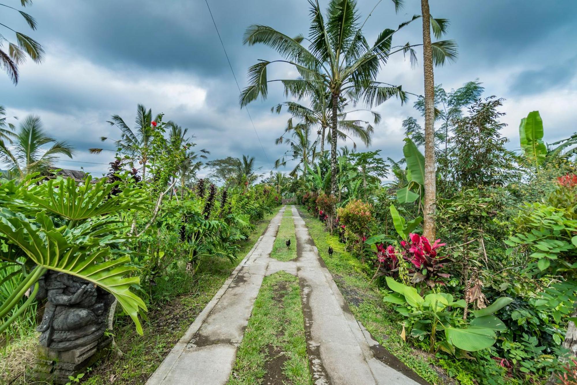 Ritual Ubud Ґіаньяр Екстер'єр фото